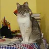 Отзыв от Екатерина Рубцова